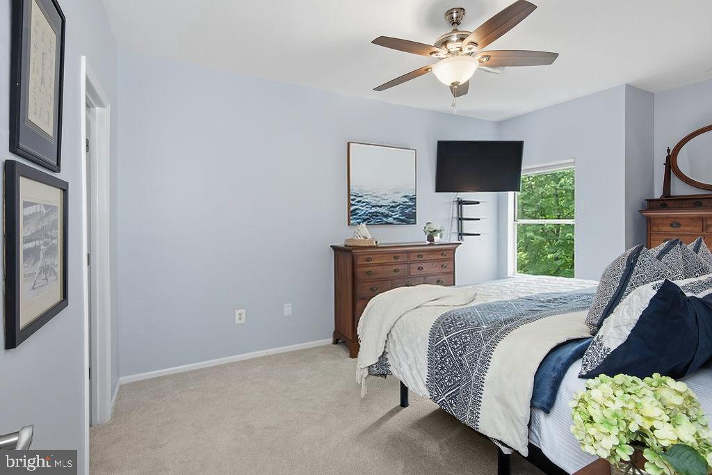14321 Climbing Rose Way #204 photo 22