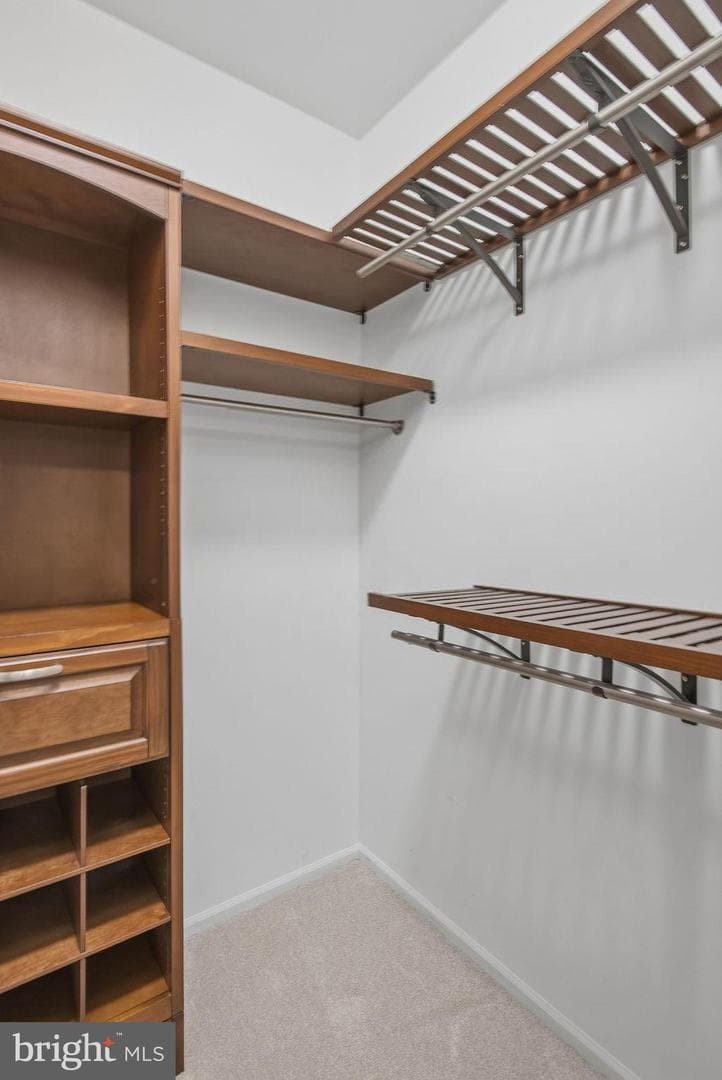14321 Climbing Rose Way #204 photo 35