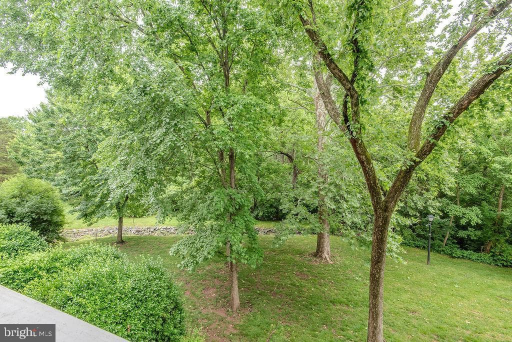 14321 Climbing Rose Way #204 photo 42