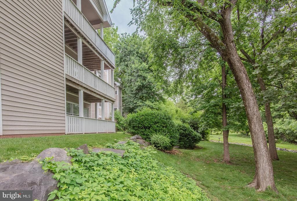 14321 Climbing Rose Way #204 photo 43