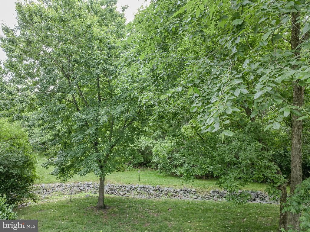 14321 Climbing Rose Way #204 photo 45
