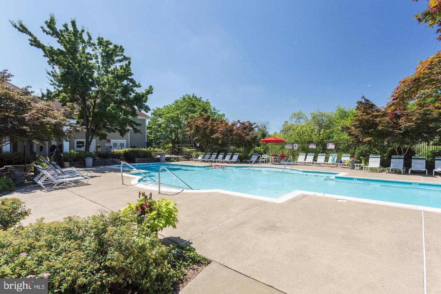 14321 Climbing Rose Way #204 photo 52