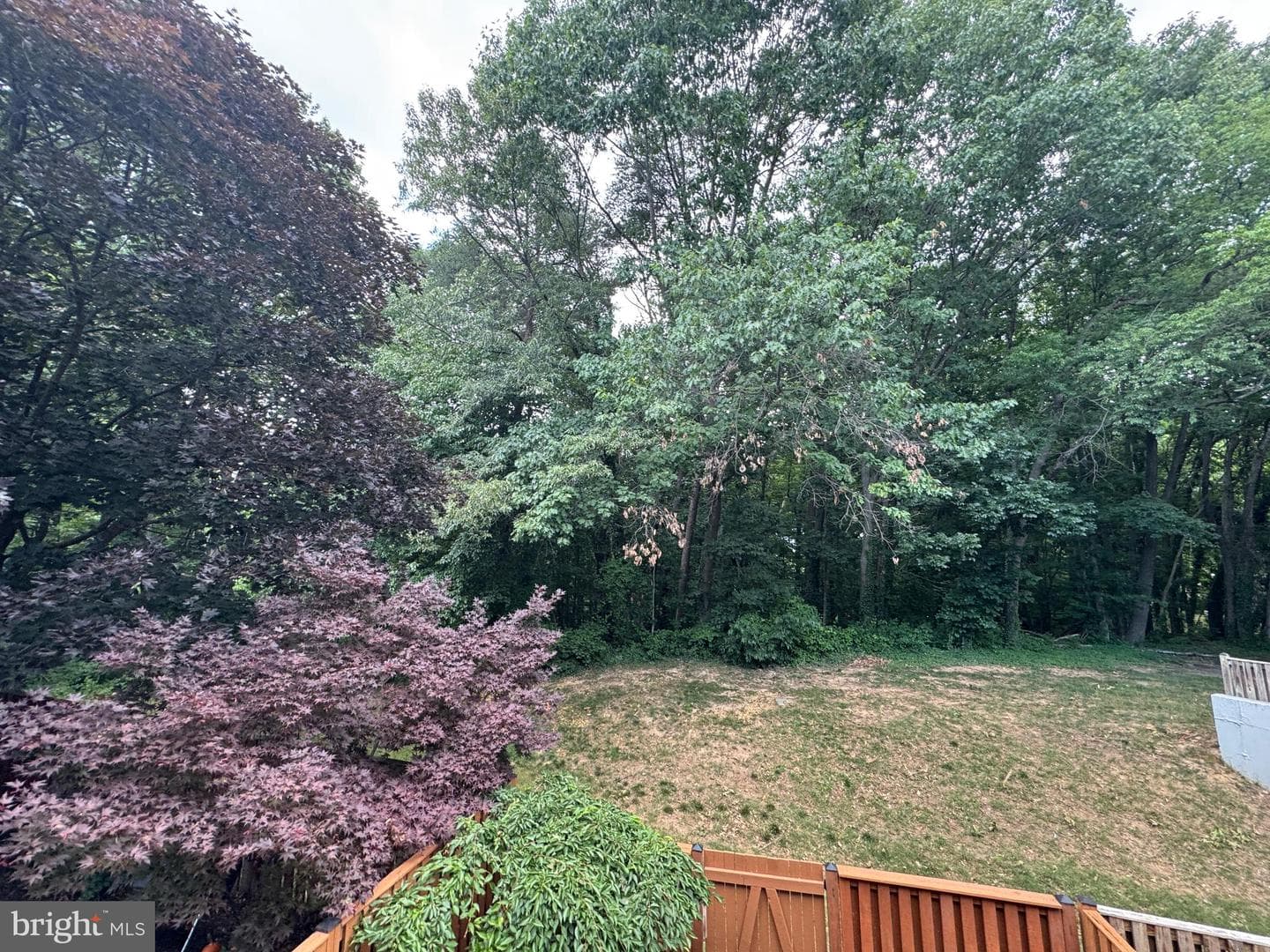 6324 Chimney Wood Court photo 23