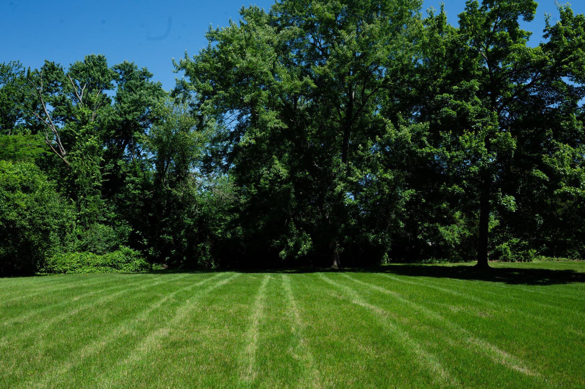 7200 Vellex Lane photo 39