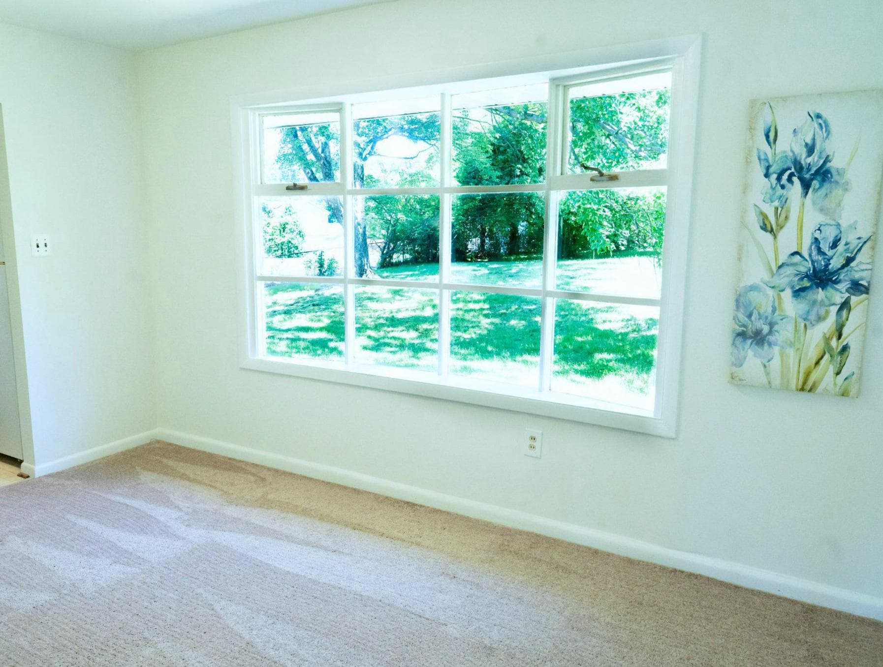 7200 Vellex Lane photo 5