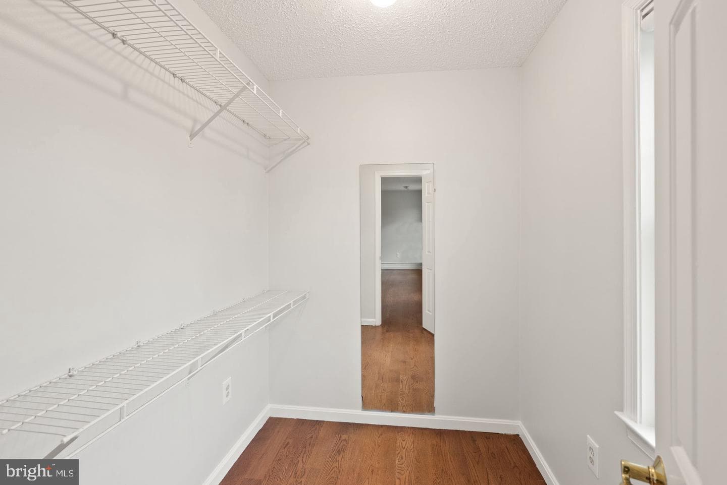 12203 Sugar Maple Drive photo 38