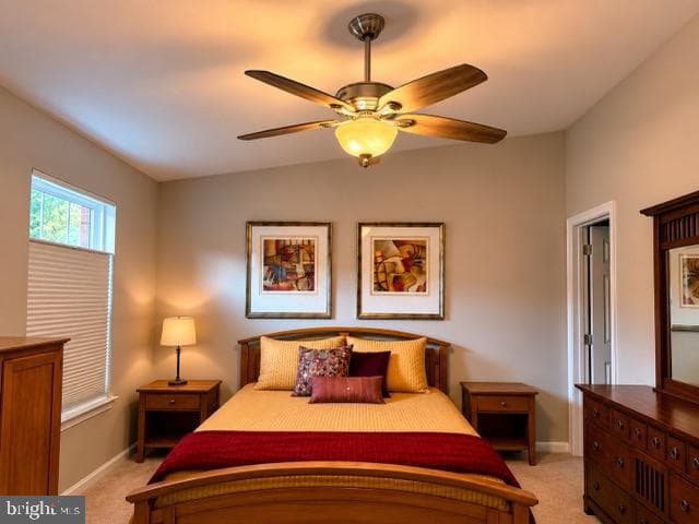 8584 Enochs Drive photo 22