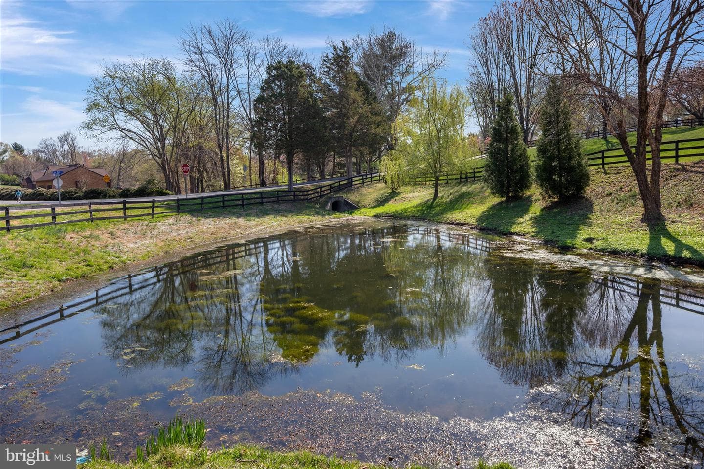 3022 Fox Den Ln photo 84