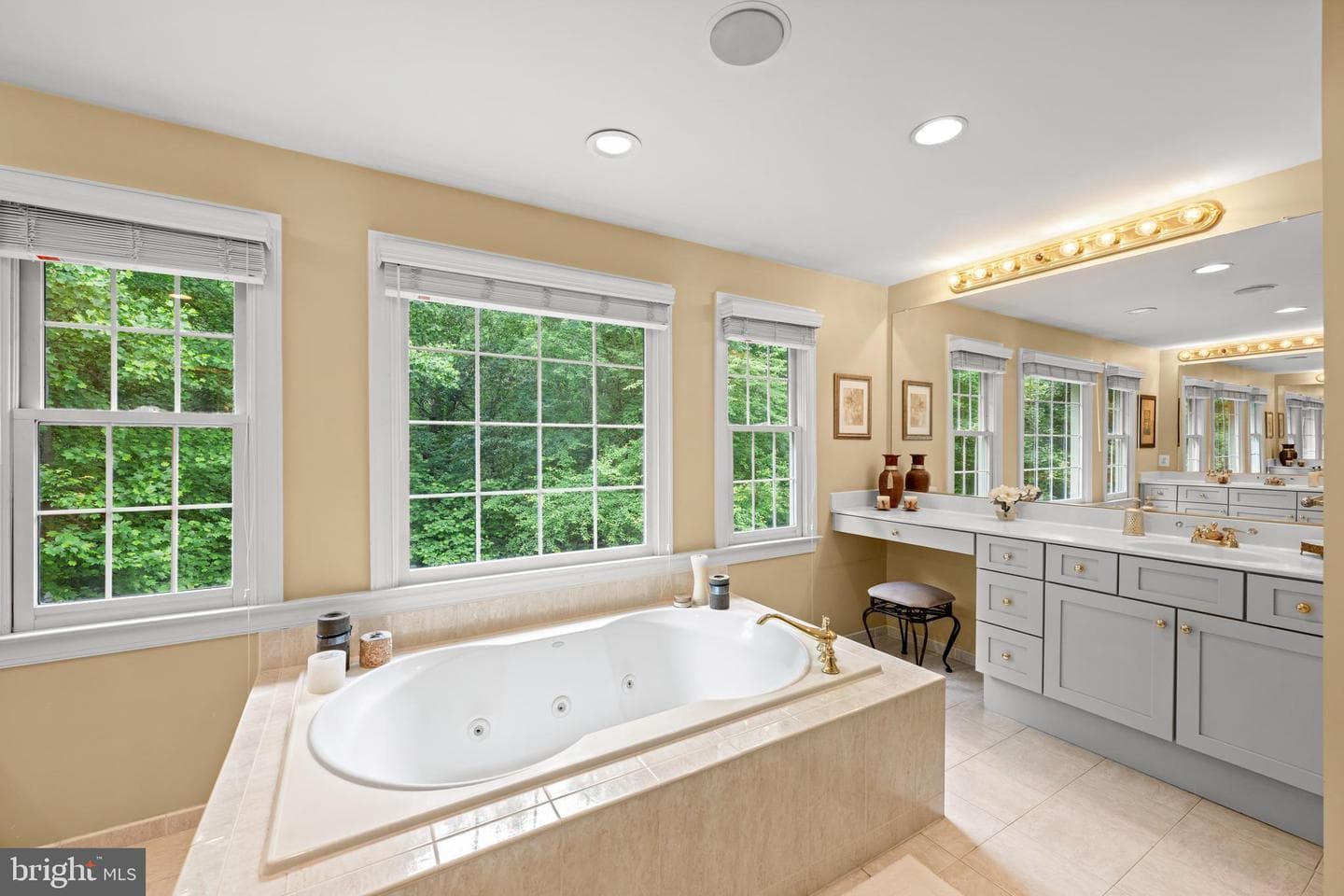 11885 Shaker Meadows Court photo 29