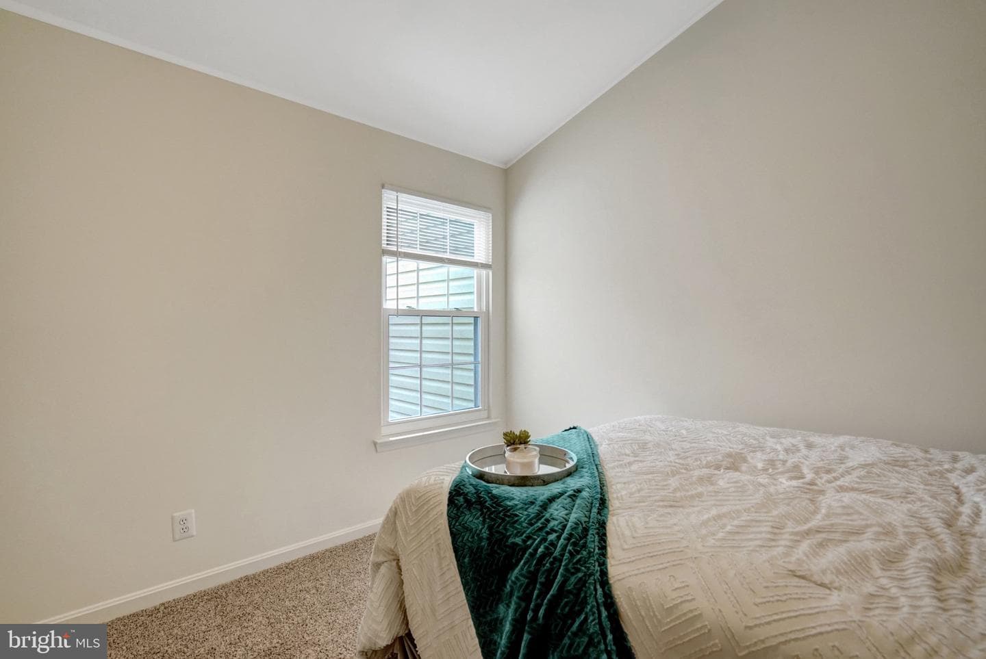 2916 Mainstone Drive photo 49