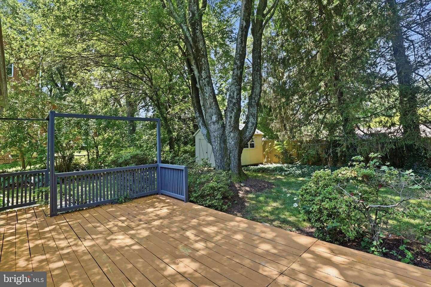 1608 Westmoreland Street photo 50