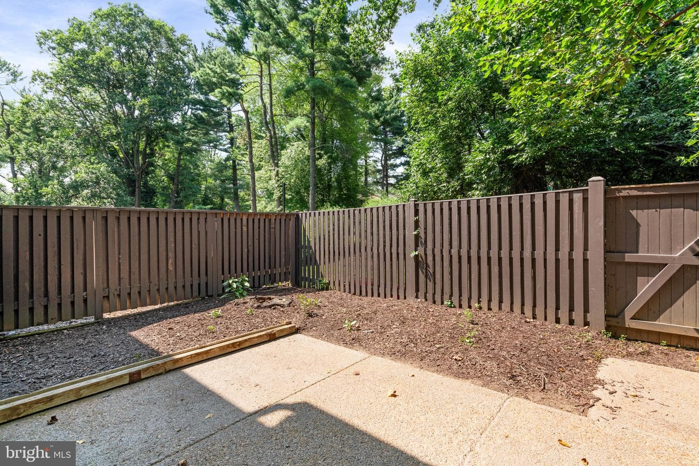 1806 Ivy Oak #43 photo 34