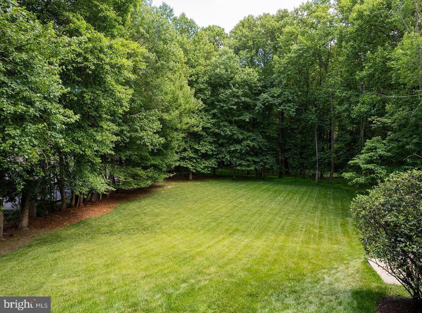 12361 Clareth Drive photo 4