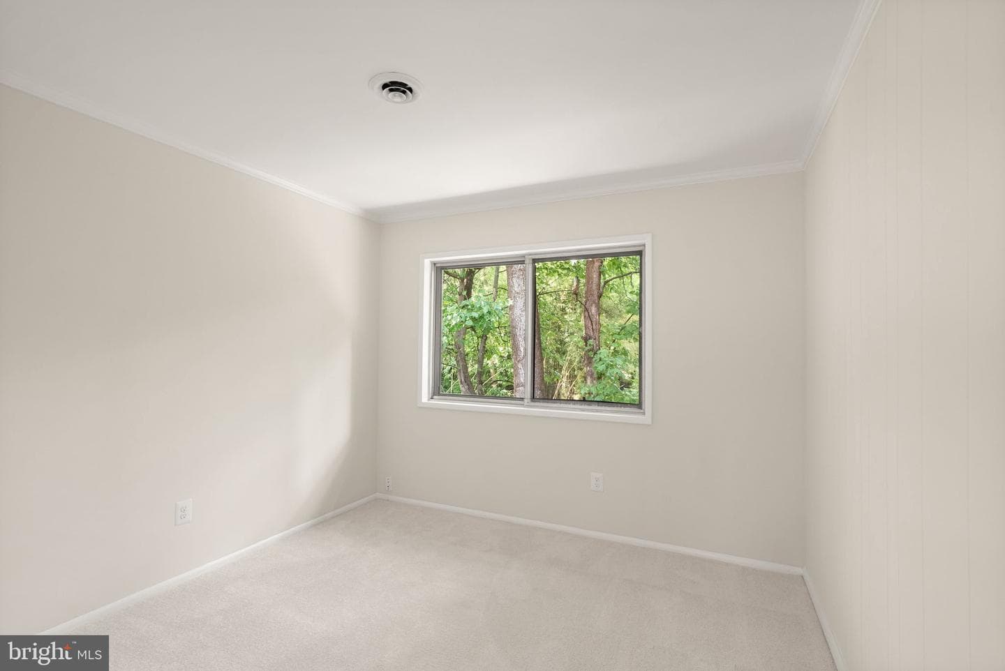 4227 Elizabeth Lane photo 53