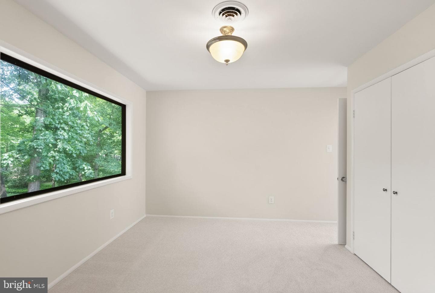 4227 Elizabeth Lane photo 56