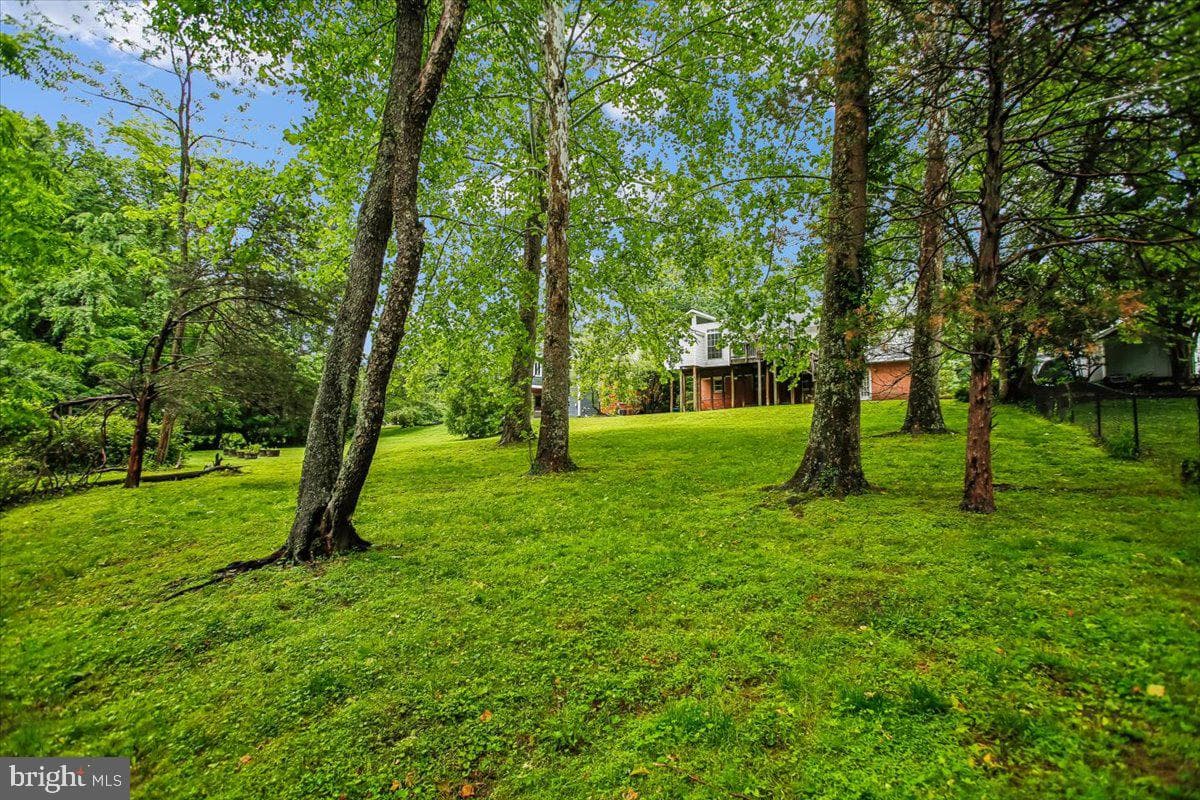 6220 Hardy Drive photo 30