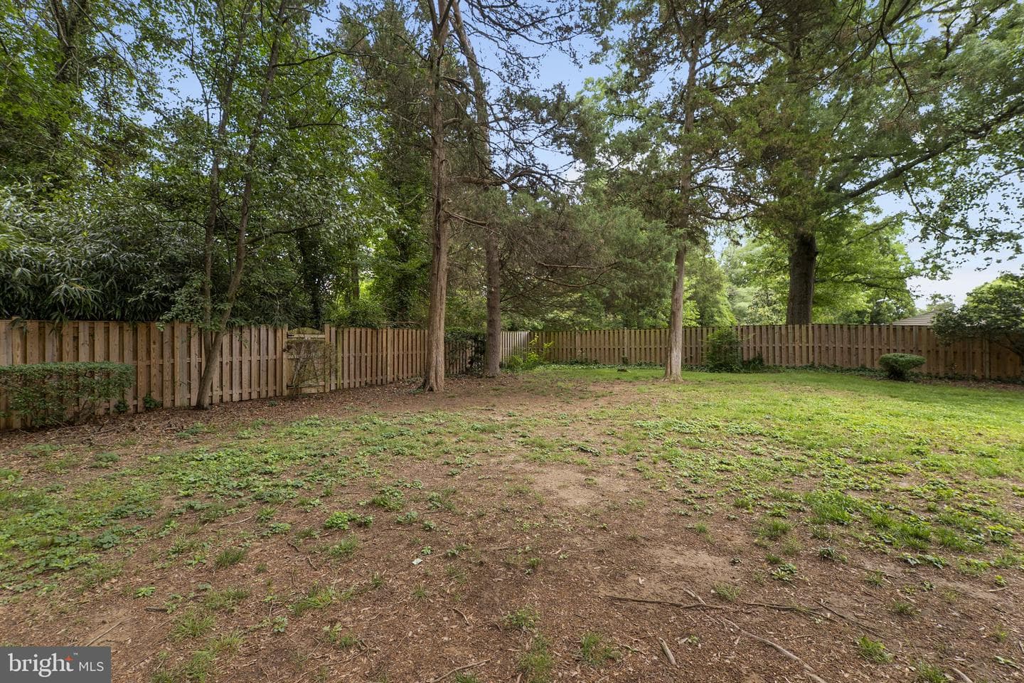 8319 W Boulevard Drive photo 51