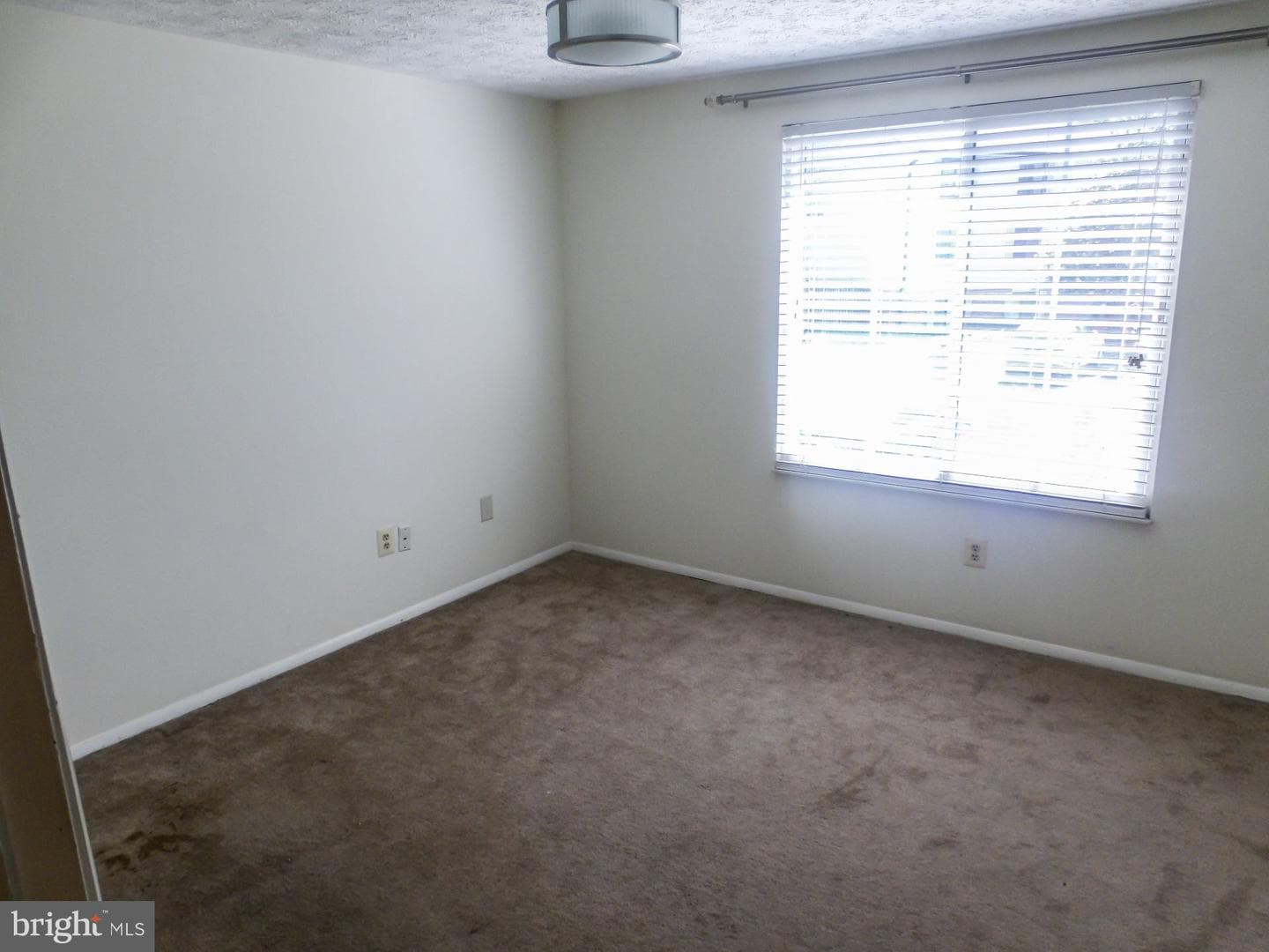 8382 Brockham Drive #f photo 11
