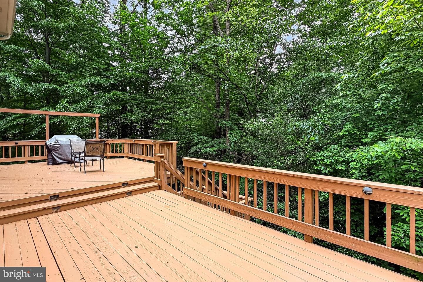6042 Makely Drive photo 13