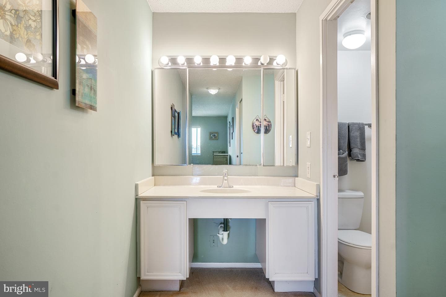 5901 Mount Eagle Drive #1216 photo 22