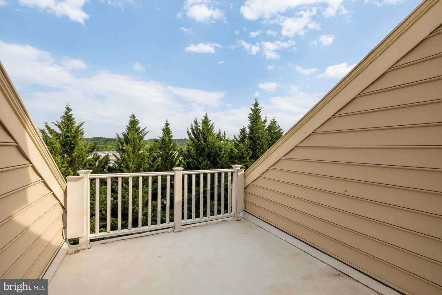 5420 Edsall Ridge Place photo 30