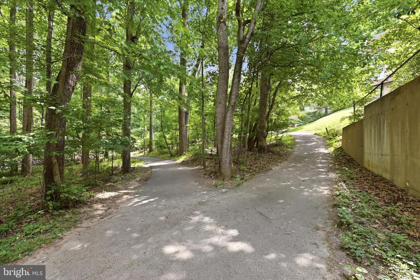 11533 Pine Cone Court photo 38