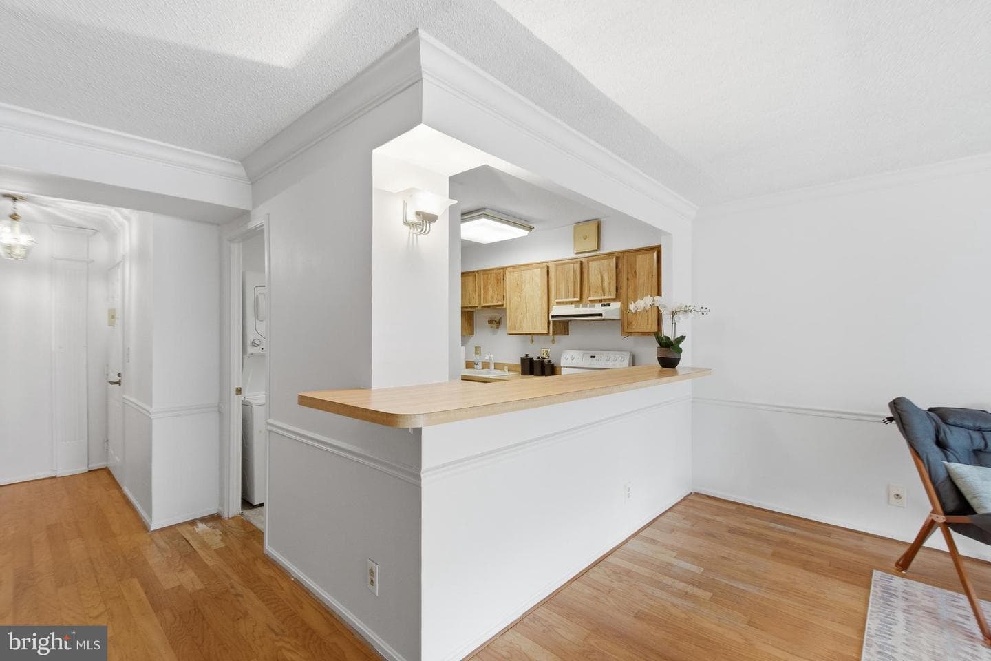 5903 Mount Eagle Drive #507 photo 6