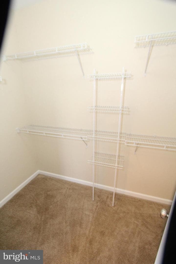 12956 Centre Park Circle #317 photo 12