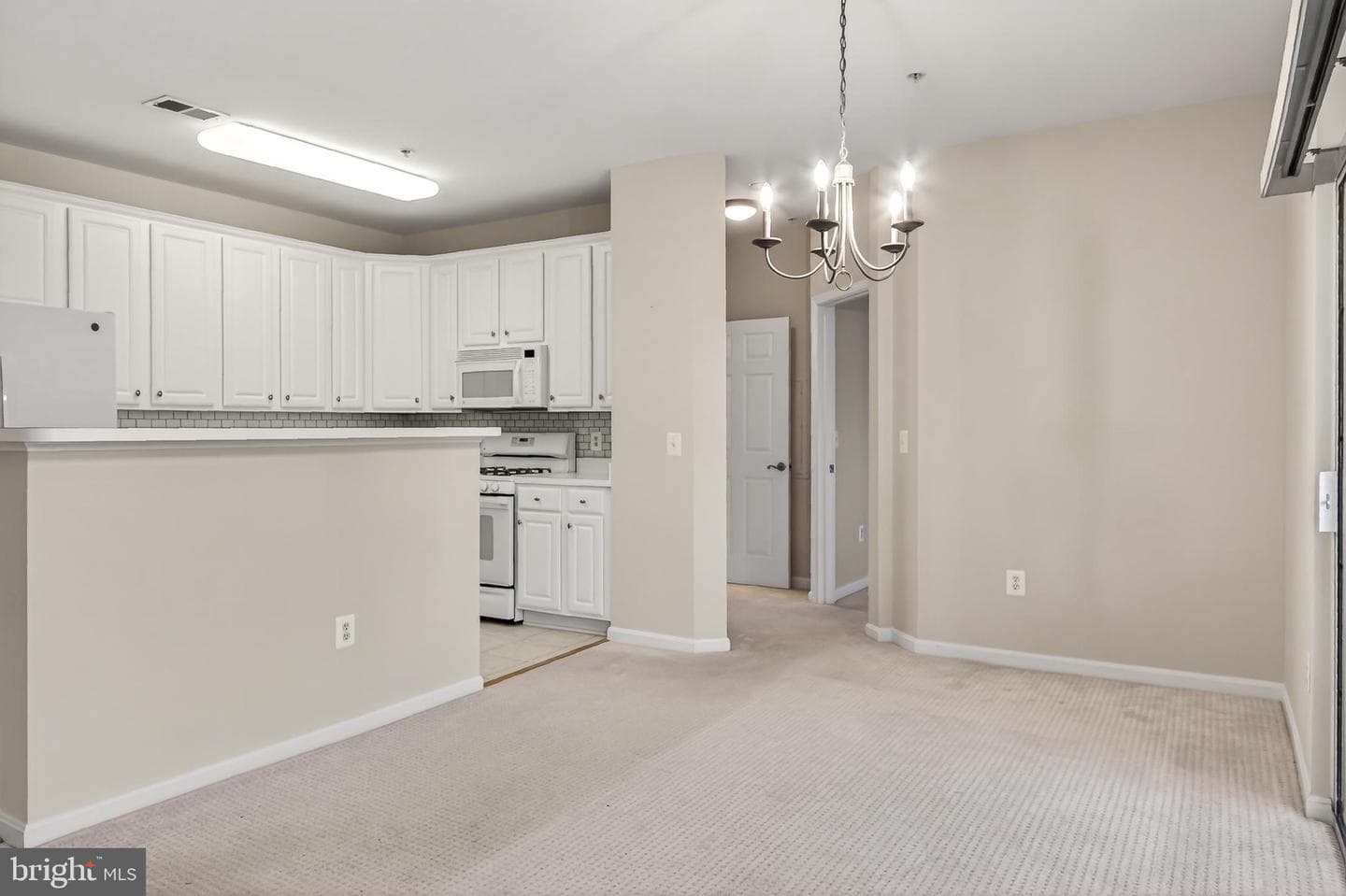 11575 Cavalier Landing Court #301 photo 6
