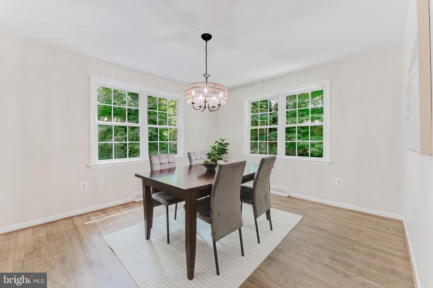 4704 Sandra Lane photo 12