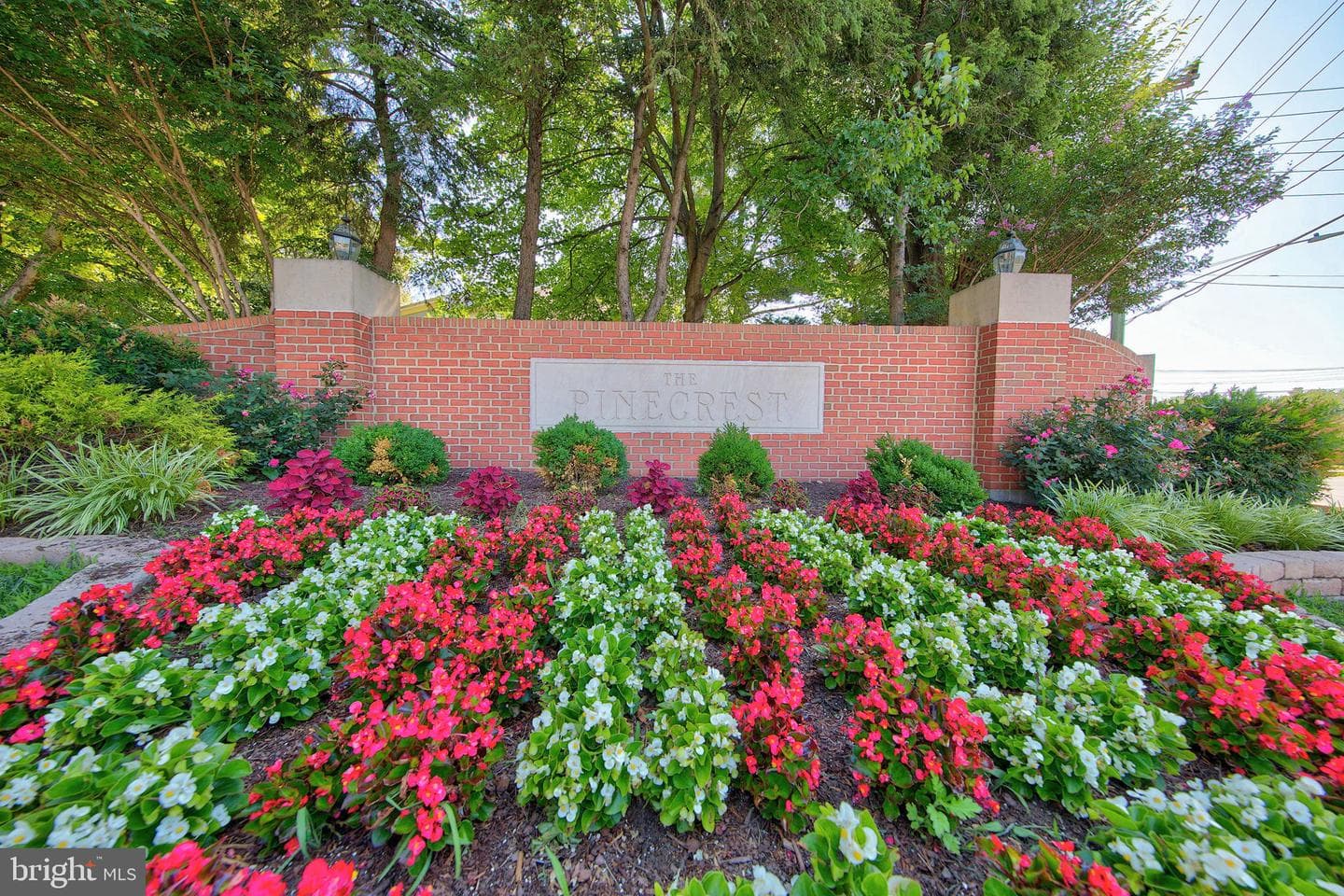6576 Medinah Lane photo 41
