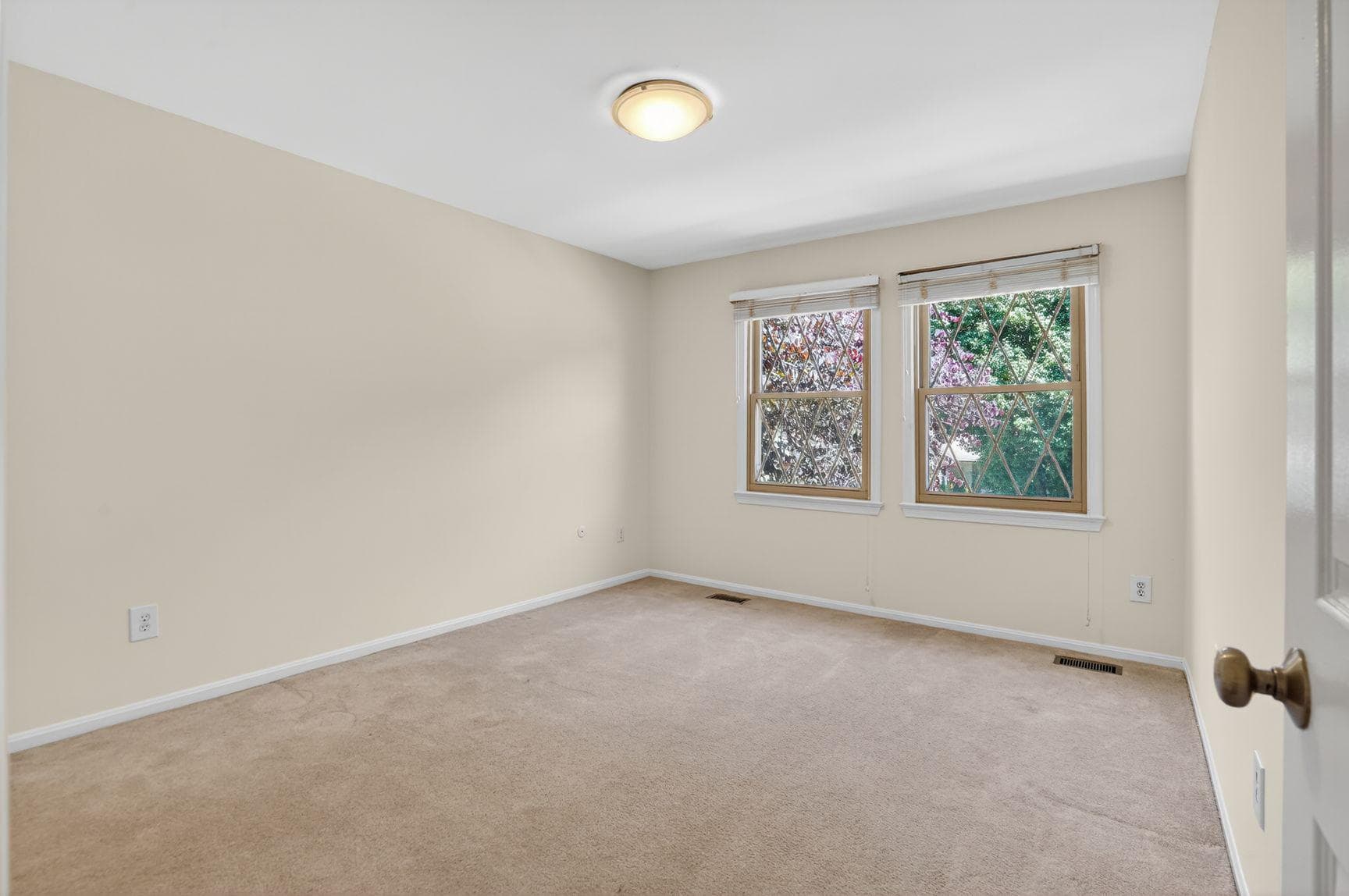 6030 Burnside Landing Drive photo 19