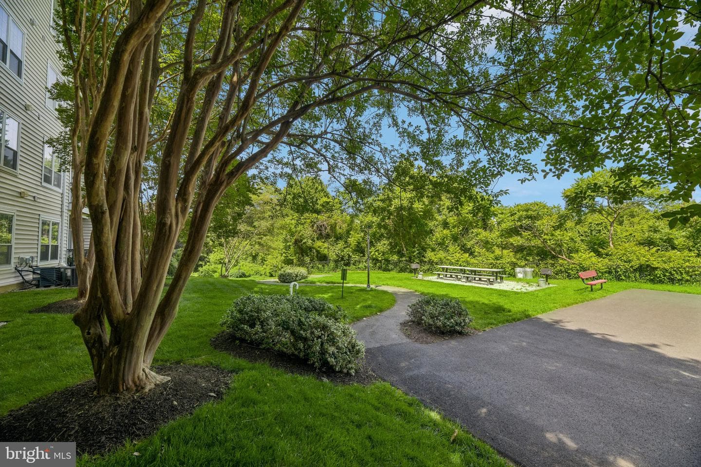 1591 Spring Gate Drive #3311 photo 39