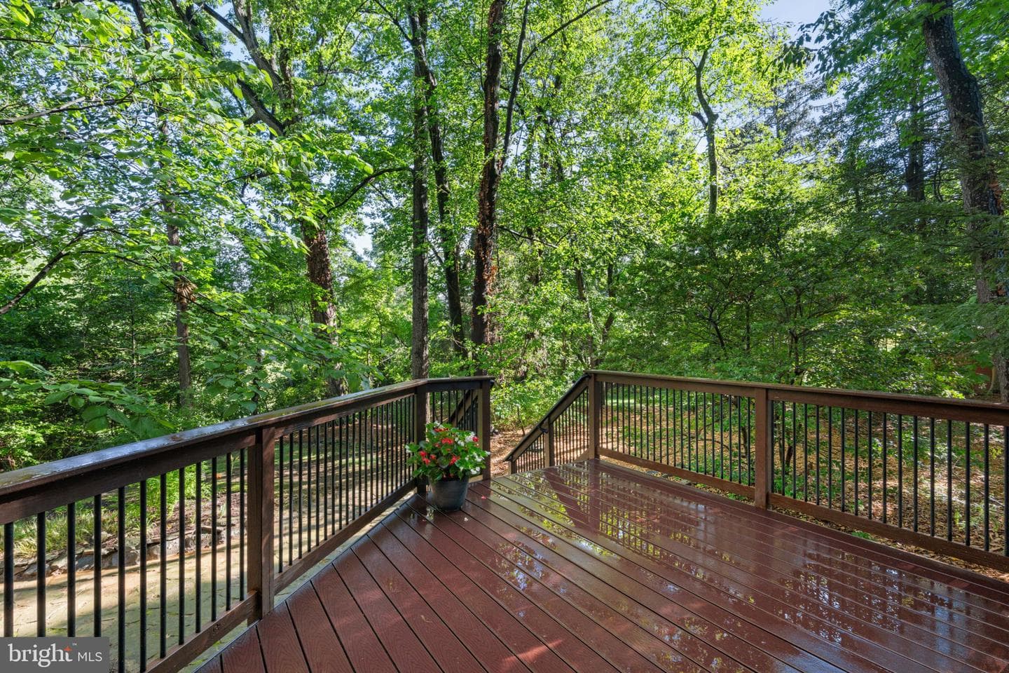 11733 Indian Ridge Road photo 28