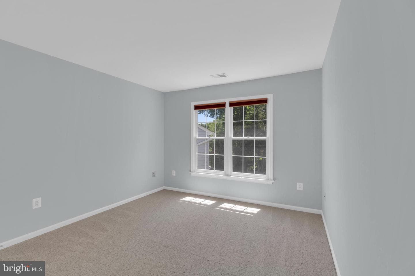 9315 Hallston Court photo 47