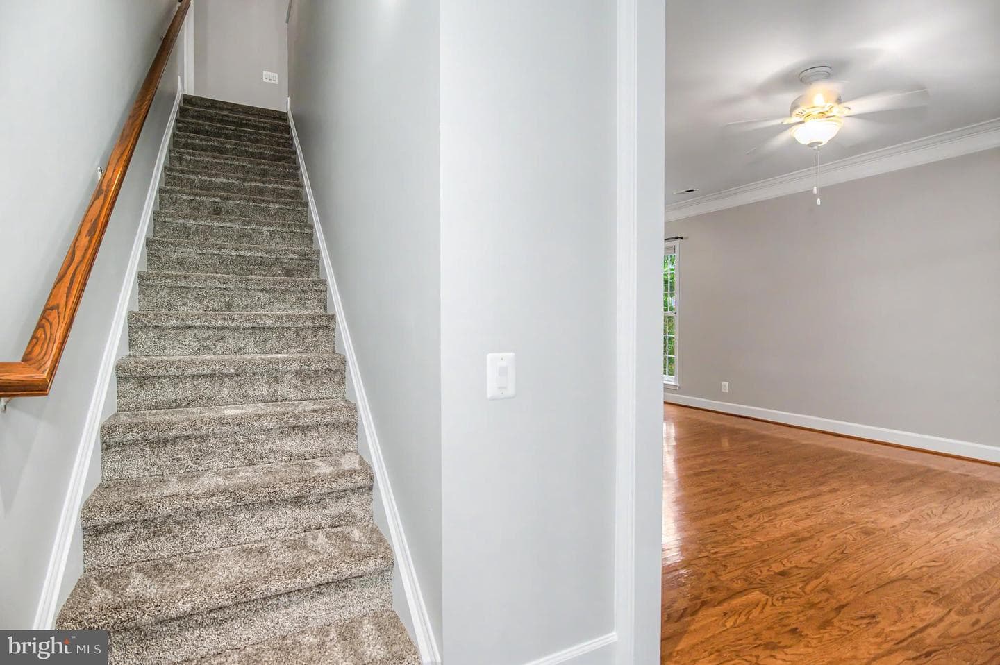8406 Mountain Larkspur Dr Drive photo 48