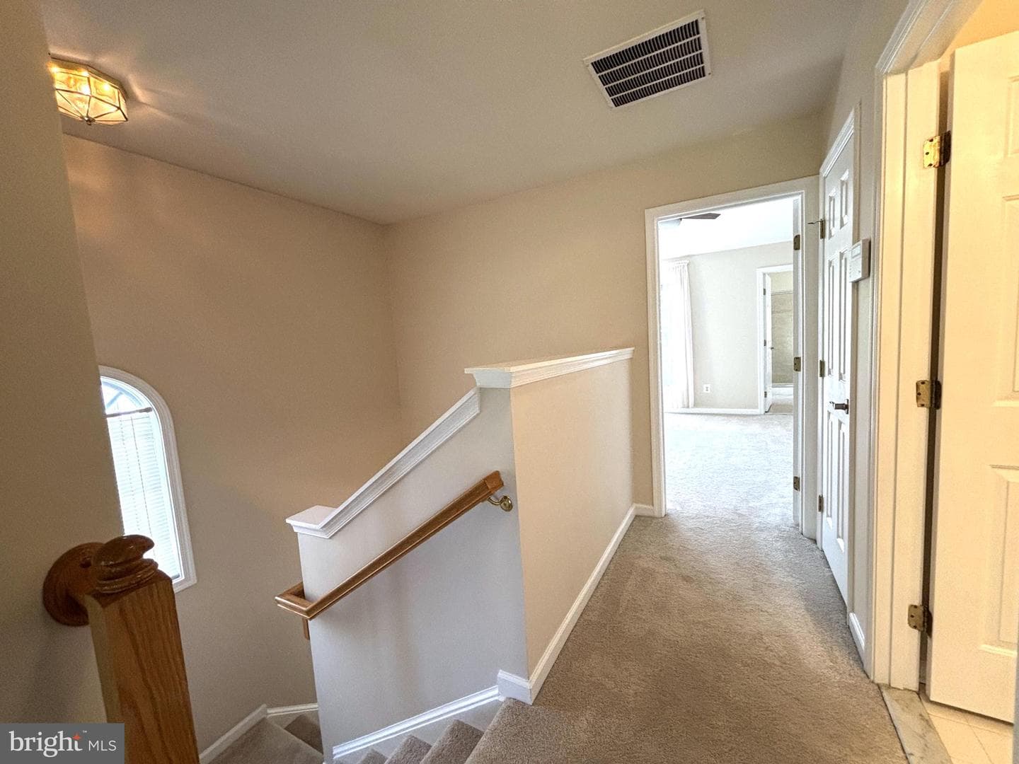 8421 Hallie Rose Street photo 19
