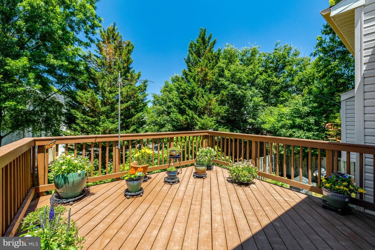 14256 Glade Spring Drive photo 27