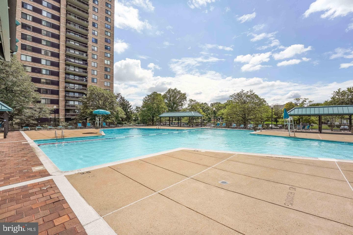 3701 S George Mason Drive #1315n photo 52