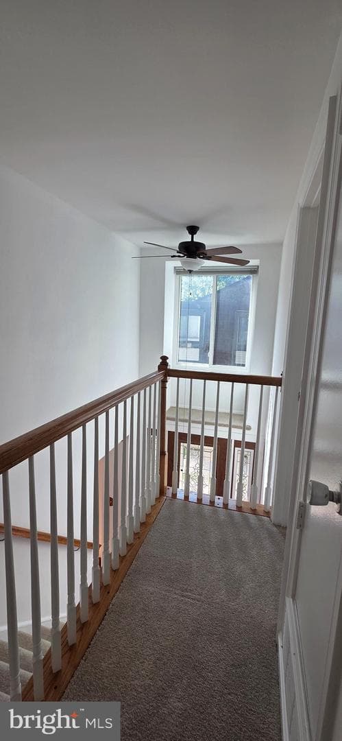 6022 Forrest Hollow Ln photo 23