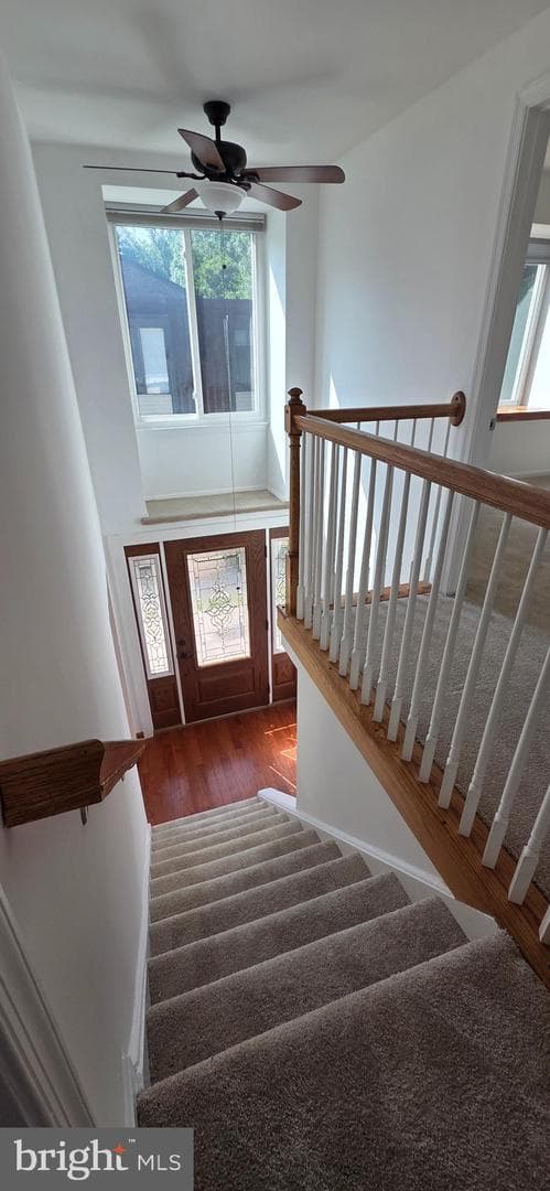 6022 Forrest Hollow Ln photo 24