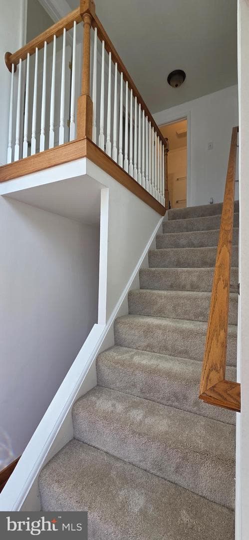 6022 Forrest Hollow Ln photo 9