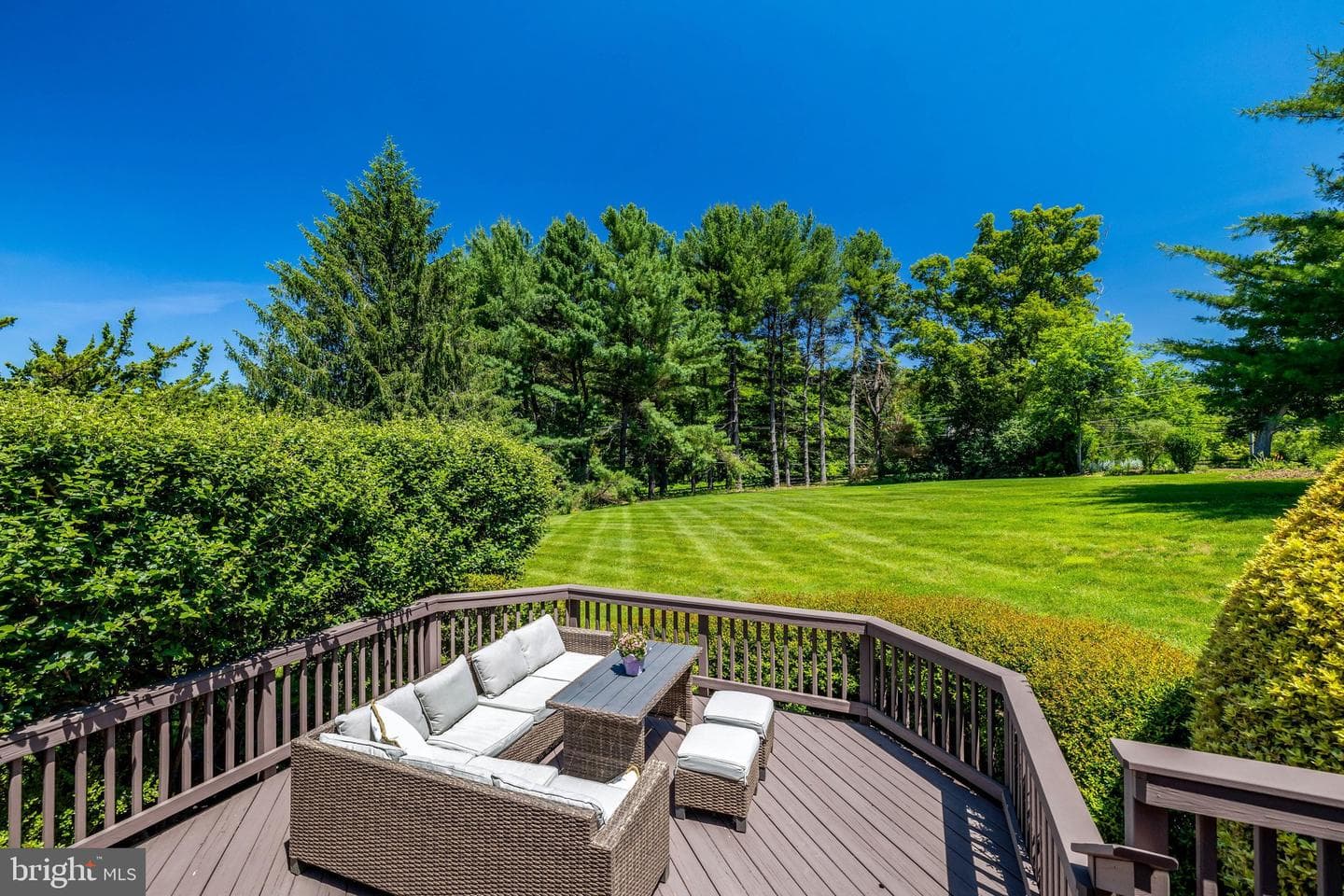 10114 Nedra Drive photo 44