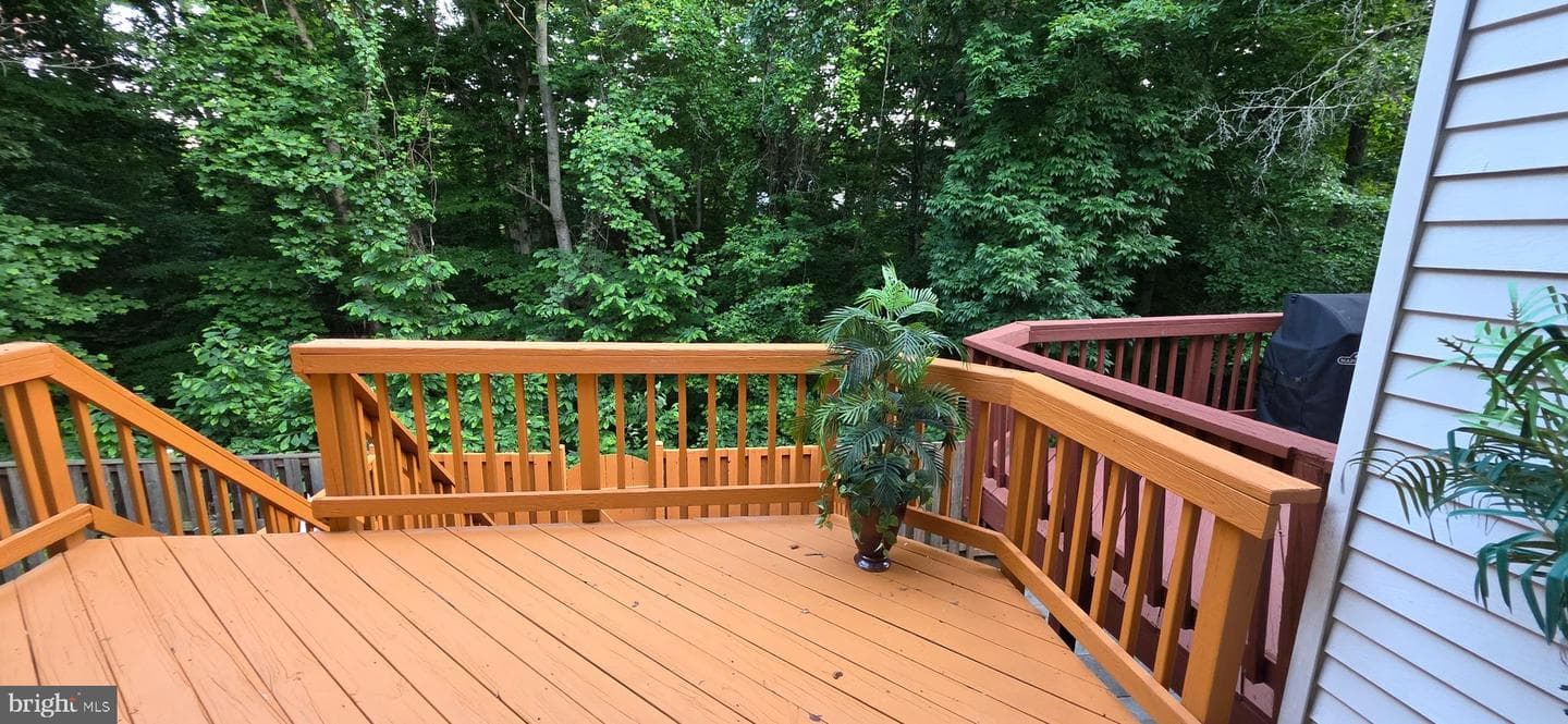 8434 Springfield Oaks Drive photo 19