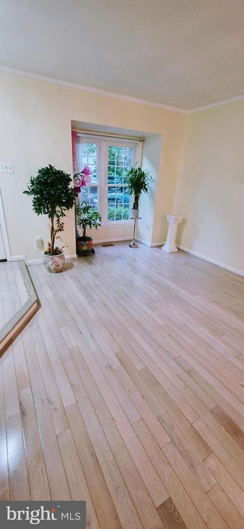 8434 Springfield Oaks Drive photo 3