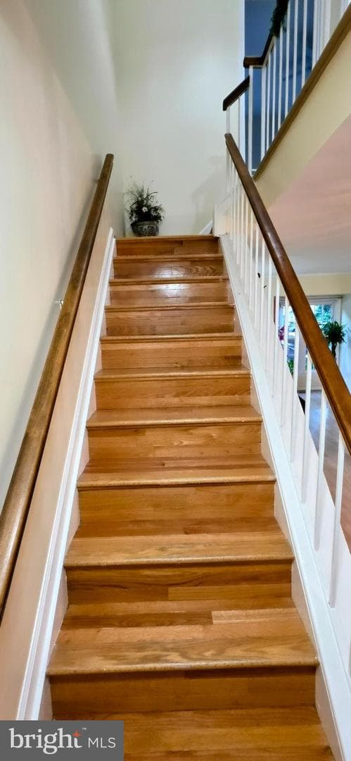 8434 Springfield Oaks Drive photo 8