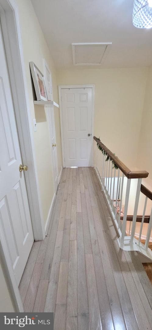 8434 Springfield Oaks Drive photo 9