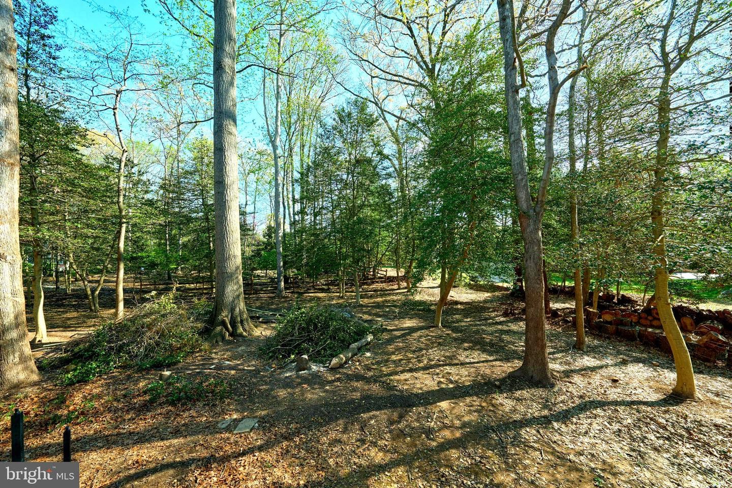 2713 Silkwood Court photo 84
