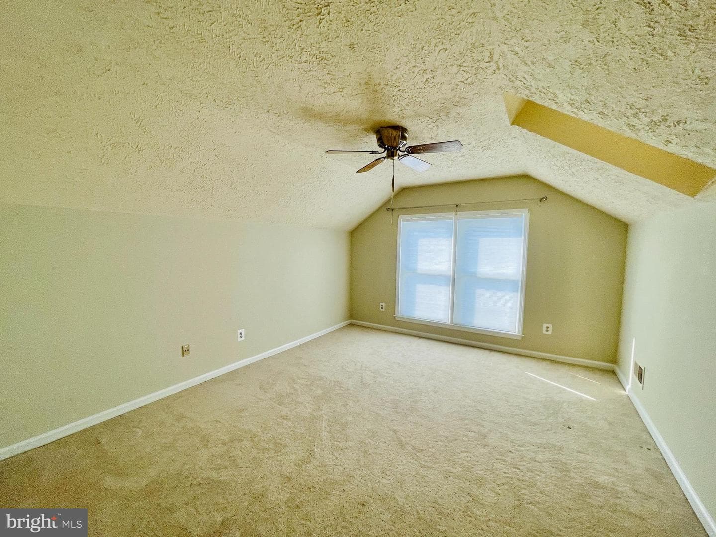 7227 Devereux Court photo 19