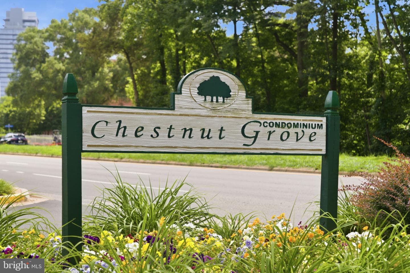 11260 Chestnut Grove Square #337 photo 67